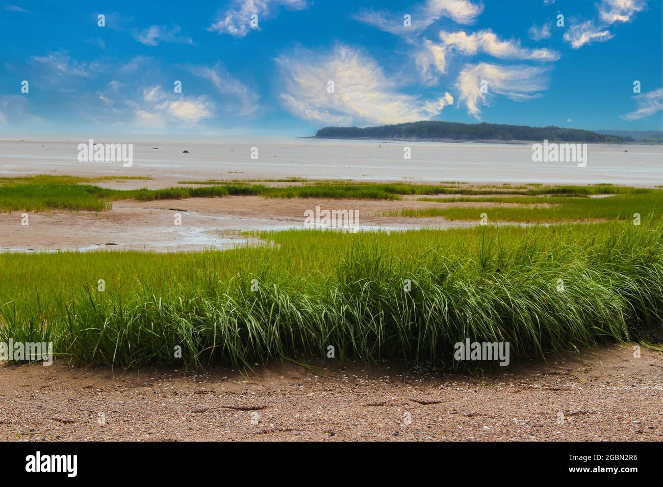 Prairies d'une aire de conservation des oiseaux dans la baie de Fundy, au Nouveau-Brunswick, Canada Banque D'Images