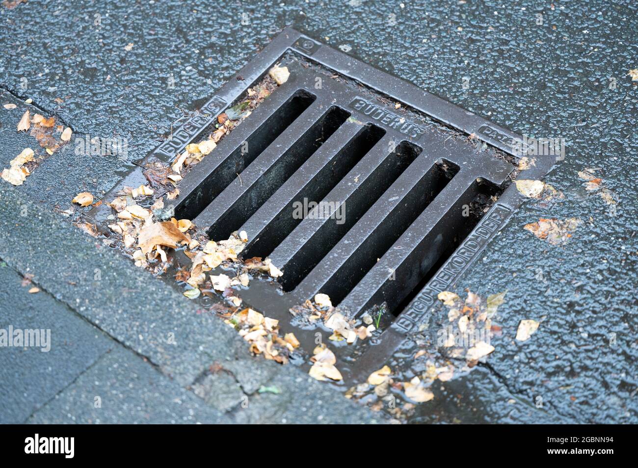 Bonn, Allemagne. 03ème août 2021. Les feuilles se sont rassemblées dans un trou d'homme. L'Association des contribuables de la Rhénanie-du-Nord-Westphalie présentera une comparaison à l'échelle de l'État des redevances sur les déchets et les eaux usées en 2021. Credit: Federico Gambarini/dpa/Alay Live News Banque D'Images