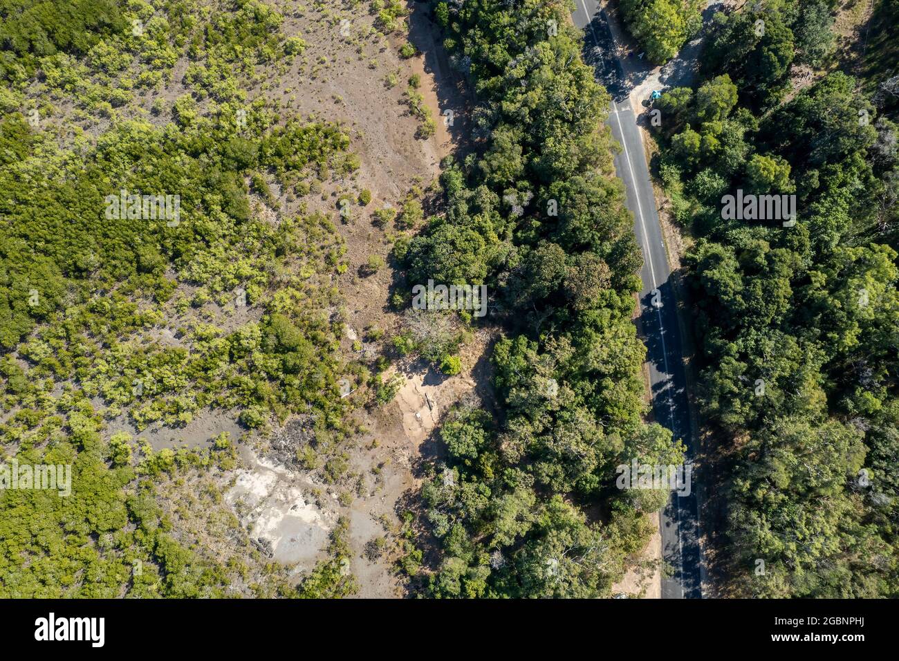 Vue aérienne sur les mangroves à marée basse et à côté d'une route sur une route touristique vers une plage. Cape Hillsborough, Queensland, Australie Banque D'Images