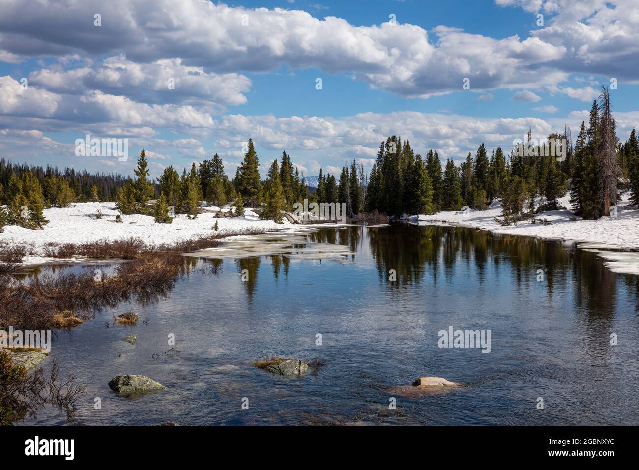 Beartooth Creek vu depuis la Beartooth Highway au printemps, Shoshone National Forest, Wyoming Banque D'Images