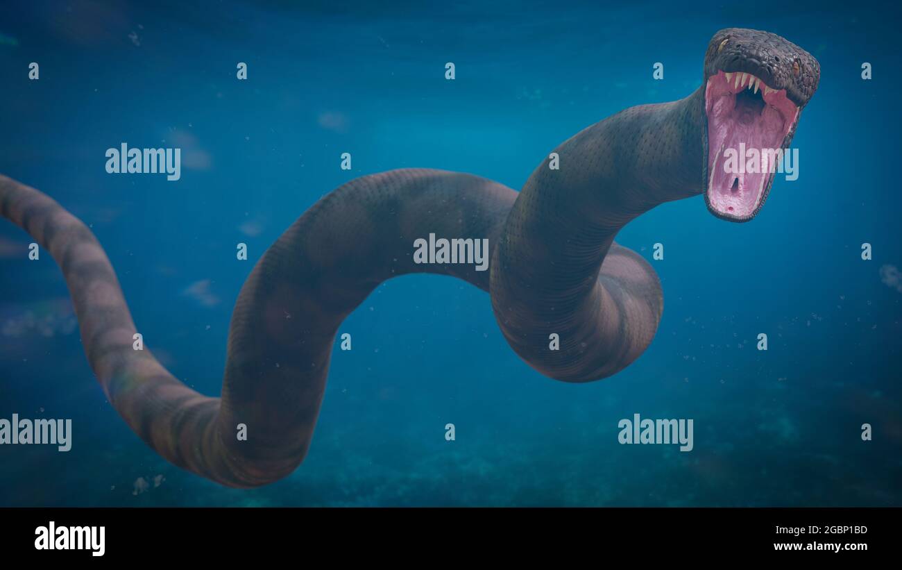 Titanoboa sous l'eau, le plus grand serpent qui ait jamais vécu Banque D'Images