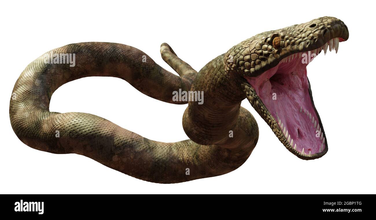 Titanoboa, le serpent le plus long qui ait jamais vécu, isolé sur fond blanc (illustration 3d) Banque D'Images