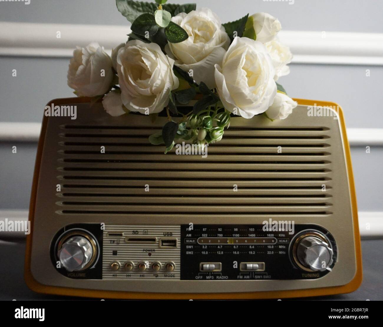 fleur blanche et ancienne radio. Banque D'Images