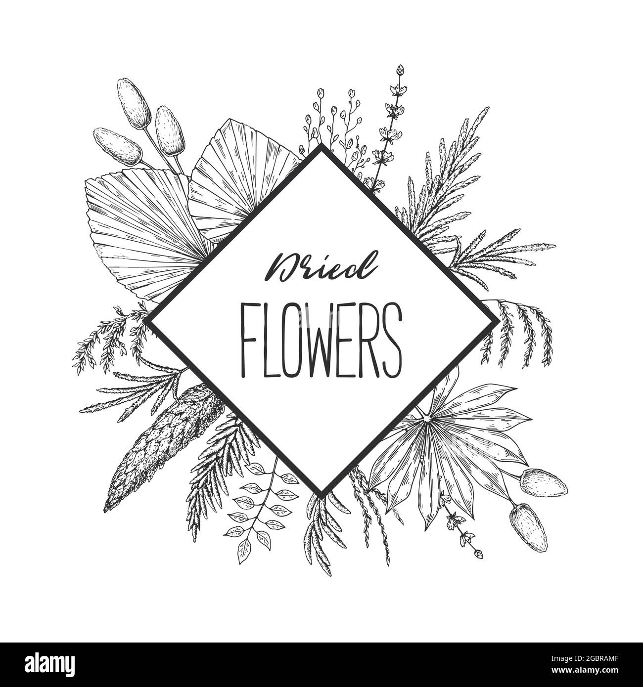 Cadre de botanique tracé à la main avec éléments dessinés à la main. Design pour logo, imprimés et invitations Illustration de Vecteur