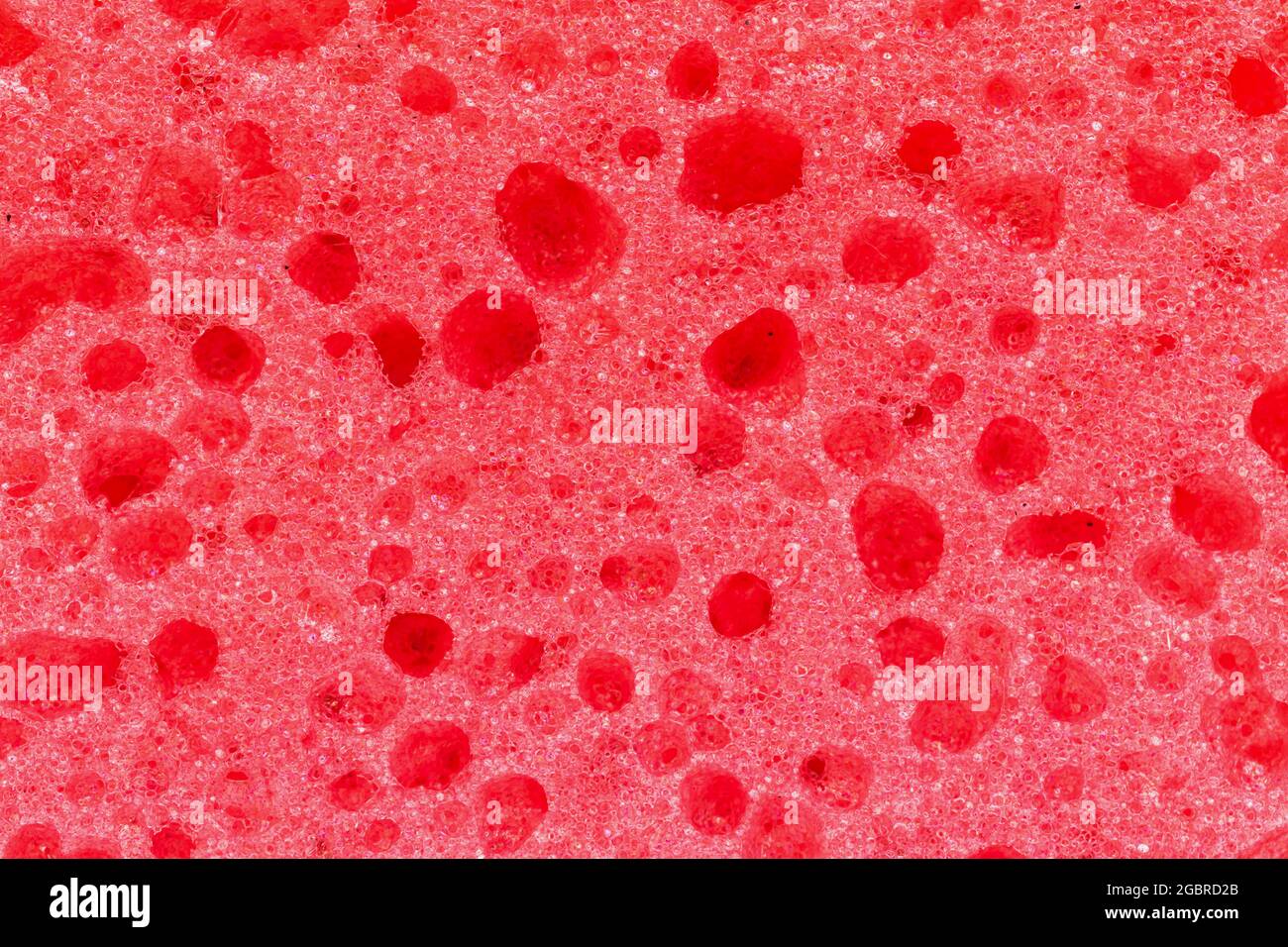 Mousse éponge texture rouge gros plan, motif abstrait Banque D'Images