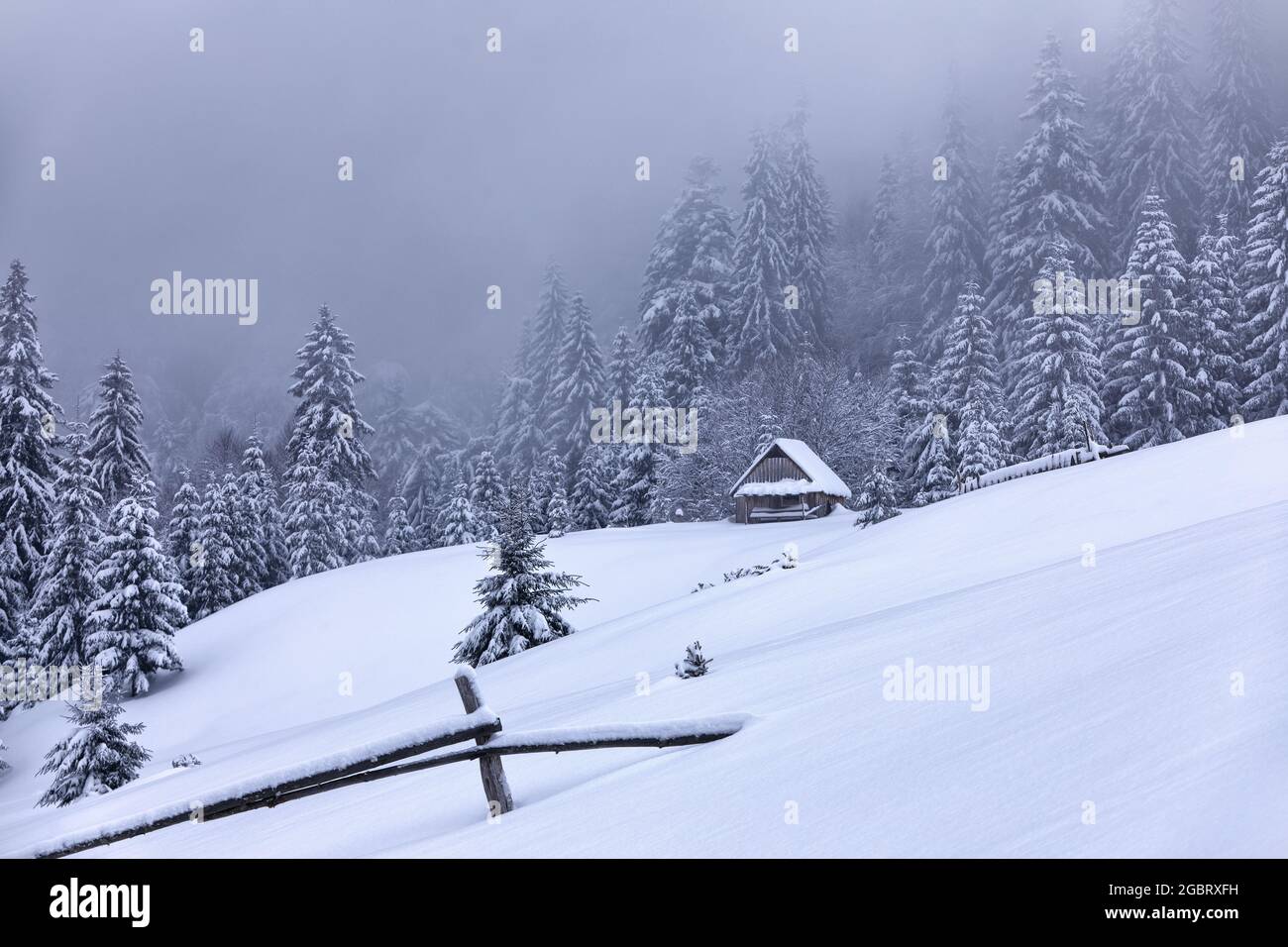Paysage hivernal brumeux. Maison de forestier en bois sur la pelouse couverte de neige. Paysage de hautes montagnes et de forêts. Fond d'écran. Emplacement Banque D'Images