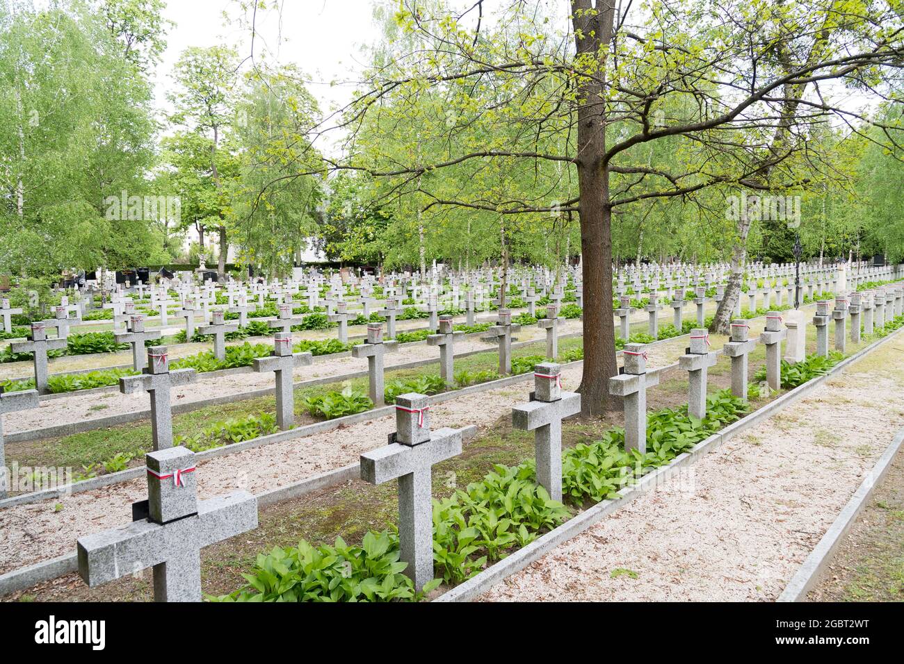 Des tombes de soldats polonais sont mortes pendant la guerre de 1919 1921 entre la Pologne et l'Union soviétique dans le cimetière militaire de Powazki (Cmentarz Wojskowy na Powazkach) à Varsovie, en Pologne. Mai Banque D'Images