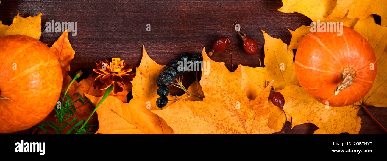 Arrière-plan de l'automne. Cadre à partir de citrouilles mûres et de feuilles tombées sur des planches de bois. Le concept de la moisson et de l'action de grâce Copier l'espace. Format de bannière Banque D'Images