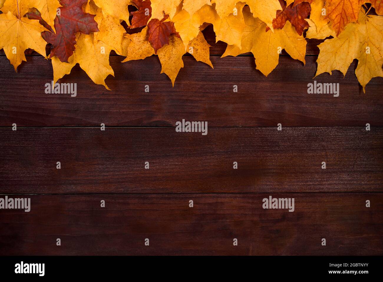 Cadre de feuilles d'automne jaunes sur fond de bois brun. Feuillage tombé. Toile de fond pour le design. Copier l'espace. Banque D'Images