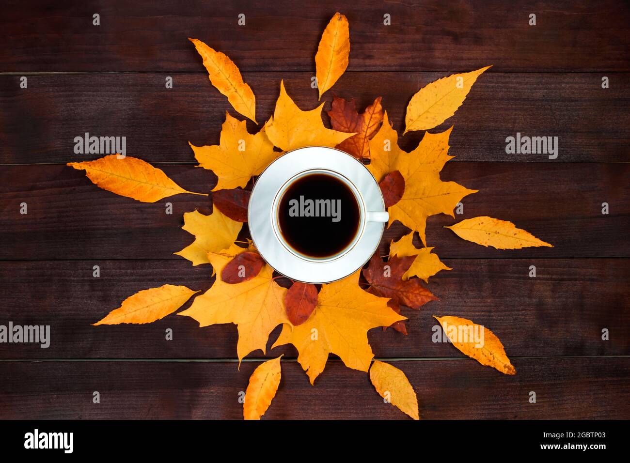 Tasse de café fort chaud et feuilles mortes sur fond de bois. Concept Hello Autumn. Boisson chaude par temps froid. Banque D'Images
