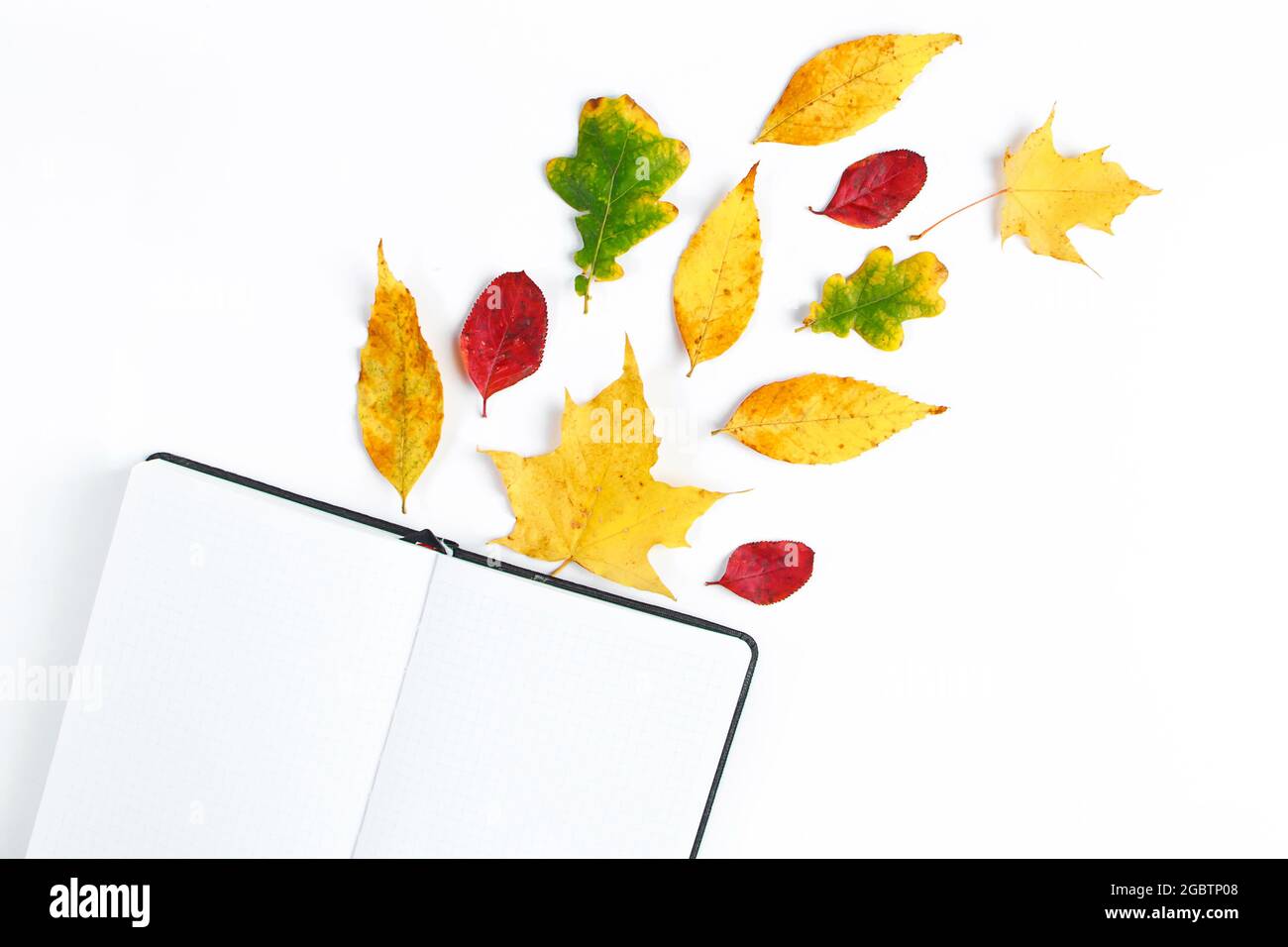 Bonjour automne. Bloc-notes vierge et feuilles jaunes tombées sur fond blanc. Début de la saison d'automne. Flat lay, espace de copie. Banque D'Images