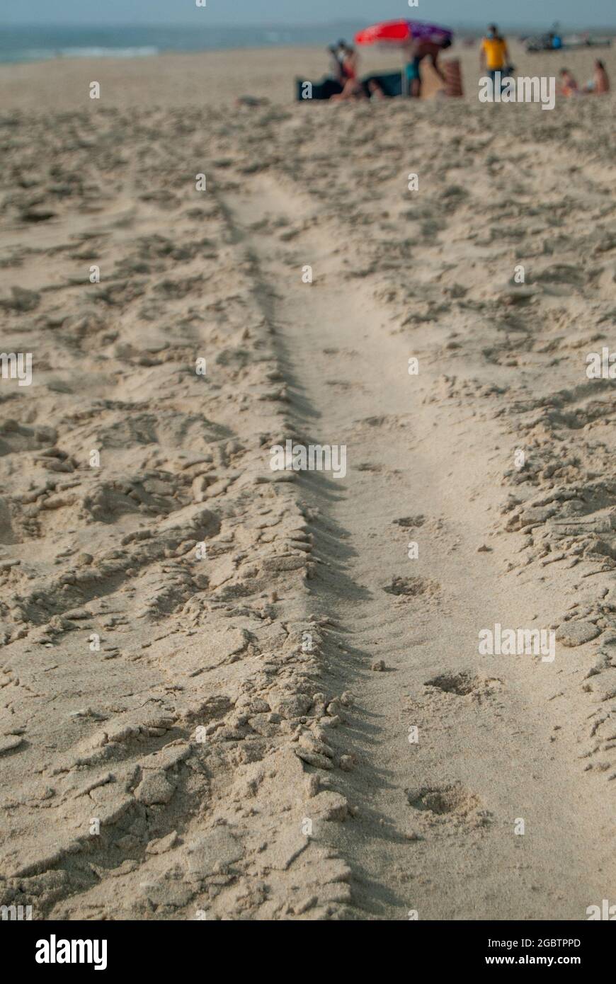 Piste de pneu dans le sable formant un modèle à la plage avec une famille en arrière-plan - 10.06.2021, Aveiro, Portugal, foyer sélectif. Banque D'Images