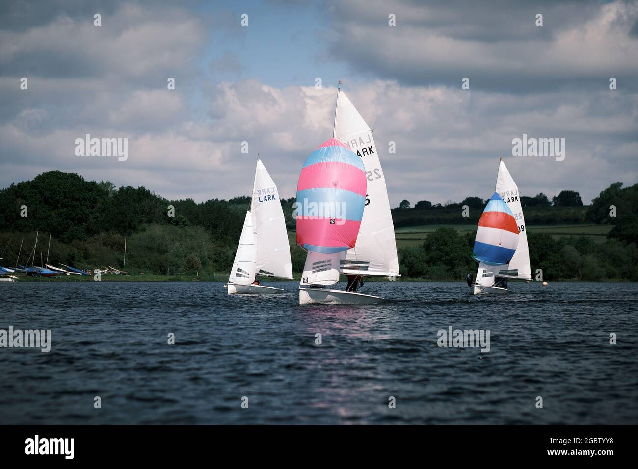 Larks au Barnt Green Sailing Club Banque D'Images