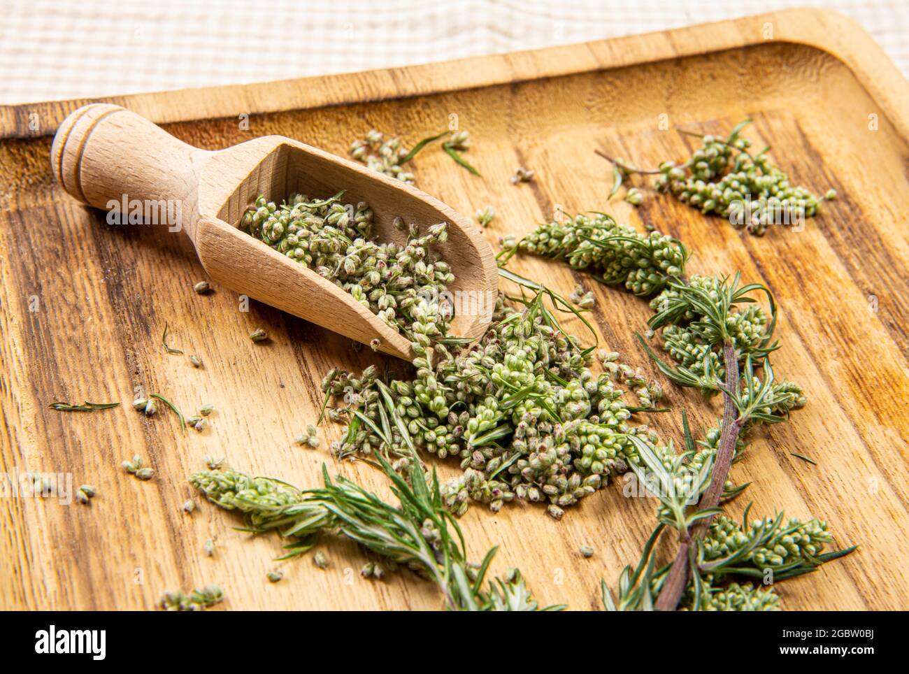 Artemisia vulgaris les parties communes de la plante de mugwort sur une cuillère en bois sur plateau en bois de couleur naturelle, prise de vue en studio à l'intérieur. Concept de médecine à base de plantes. Banque D'Images