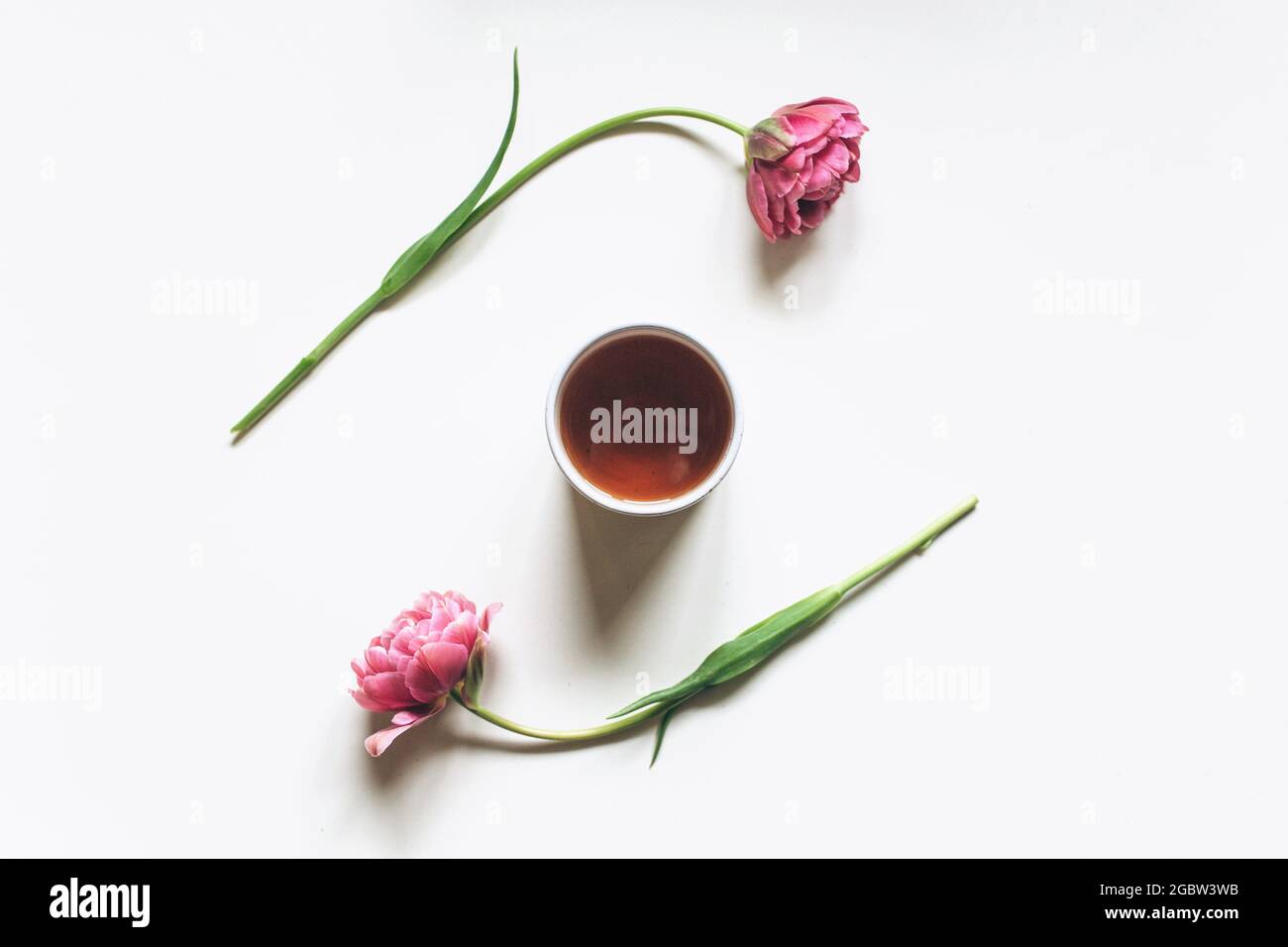 Une tasse de café ou de thé sur fond blanc avec des tulipes roses. Flat lay, vue de dessus. Banque D'Images