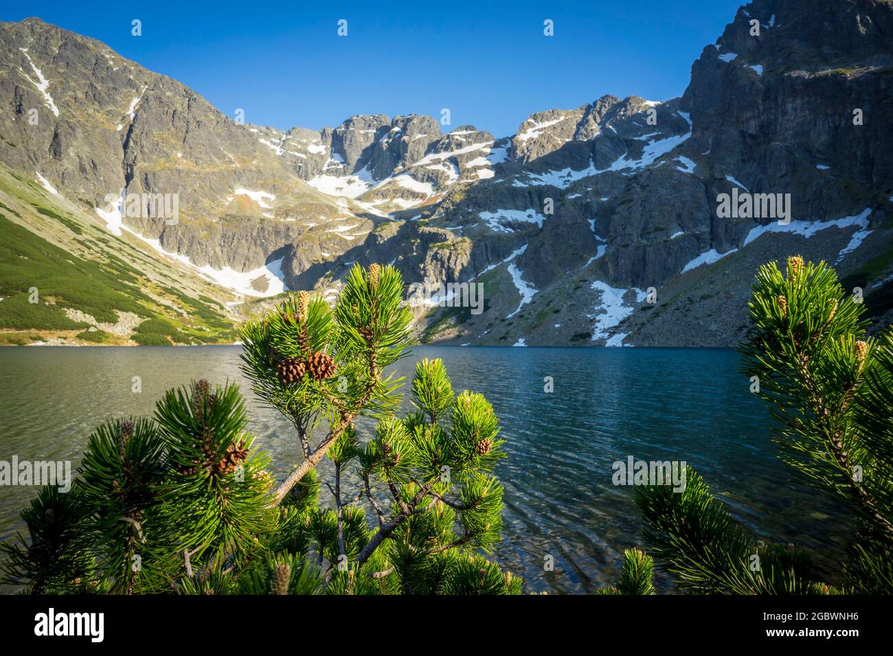 Gasienicowy Black Pond beau lac propre dans les Tatras polonaises. Banque D'Images