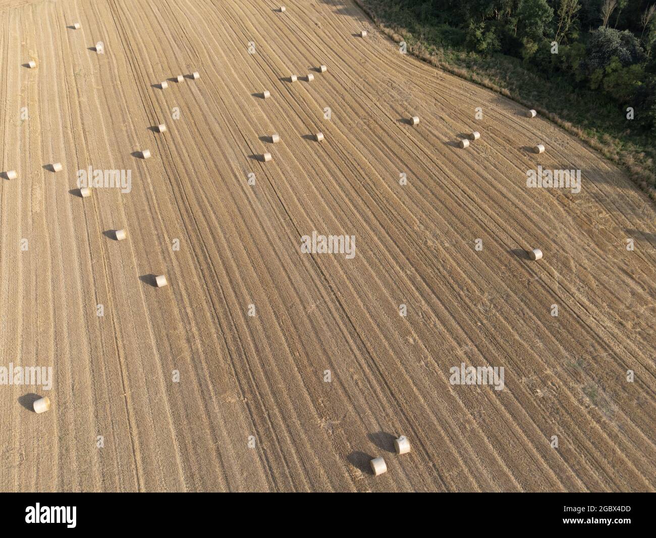 Champ de céréales récolté avec des balles de paille, prises avec un drone, Rhénanie du Nord Westphalie, Basse-Rhin, Allemagne Banque D'Images
