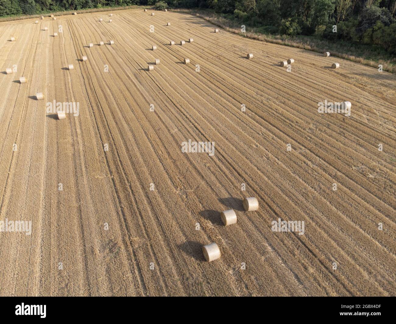 Champ de céréales récolté avec des balles de paille, prises avec un drone, Rhénanie du Nord Westphalie, Basse-Rhin, Allemagne Banque D'Images