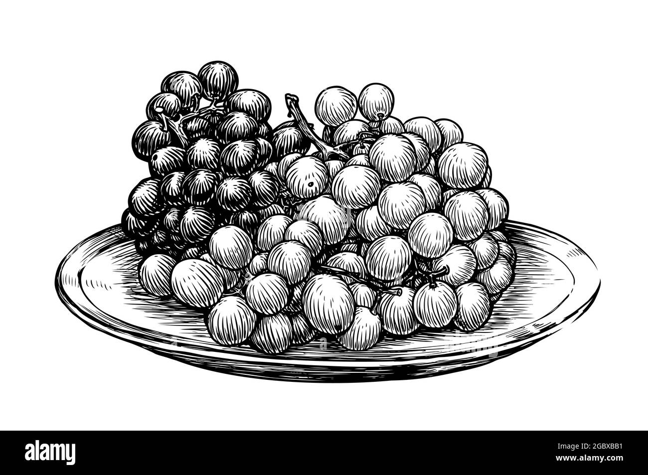 Grappes de raisins dans une assiette. Fruits dessinés à la main dans un style vintage. Illustration de l'esquisse Illustration de Vecteur