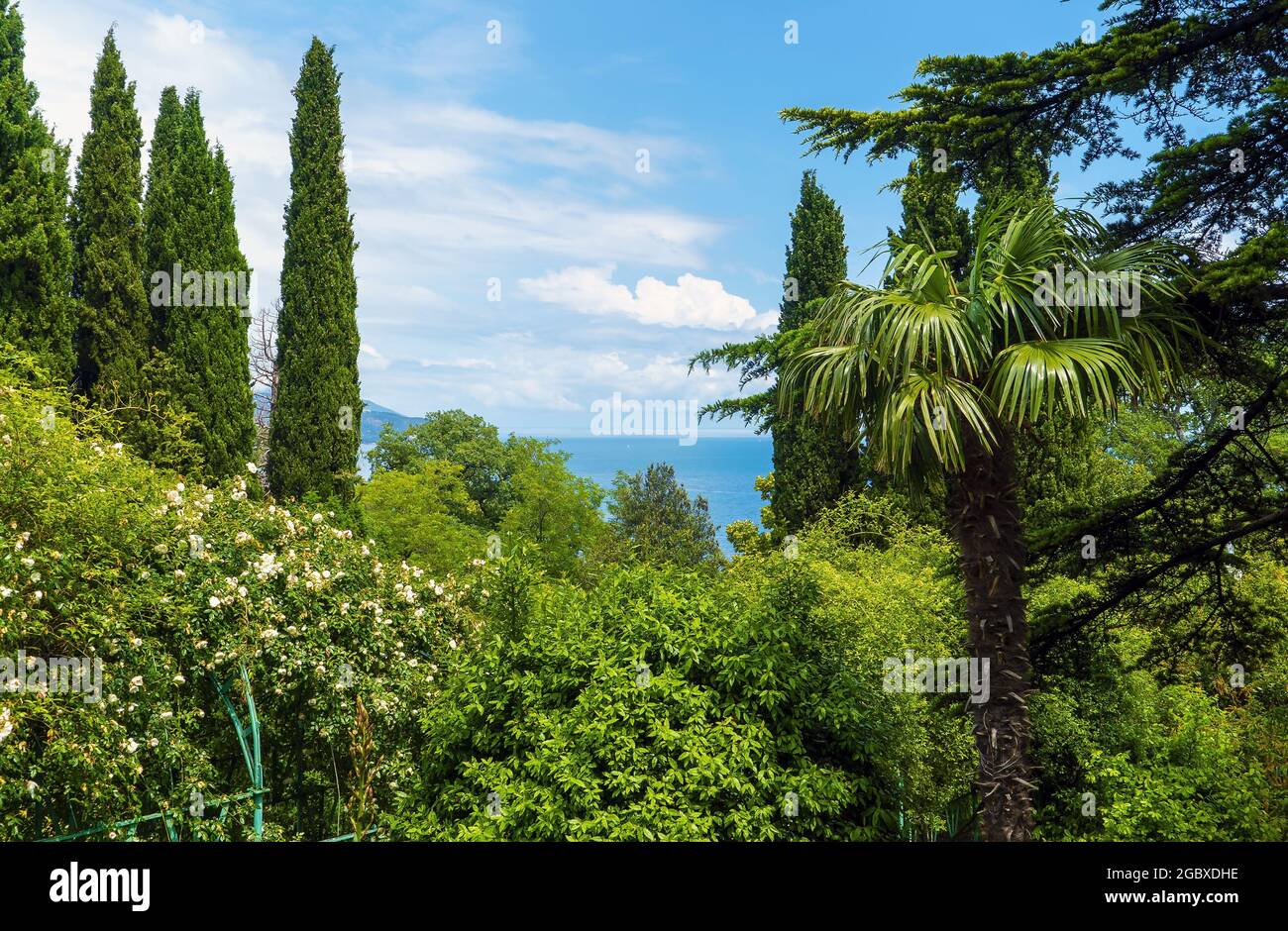 Dans le parc du Palais Livadia. Crimée. Yalta Banque D'Images