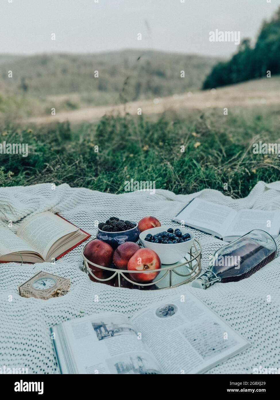 Pique-nique dans les montagnes Banque D'Images