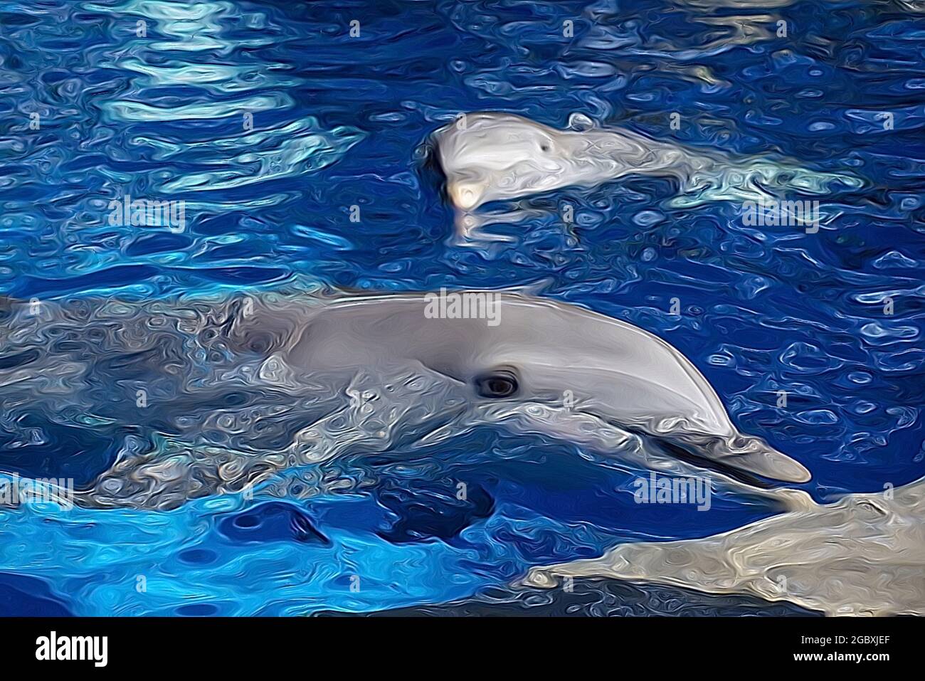 Illustration de deux dauphins nageant dans l'eau bleue. Banque D'Images