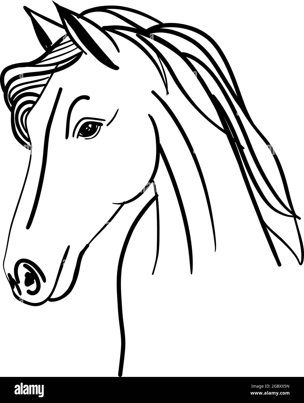 Esquisse tirée à la main par des chevaux - Illustration vectorielle Illustration de Vecteur