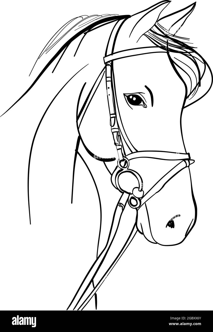 Esquisse tirée à la main par des chevaux - Illustration vectorielle Illustration de Vecteur