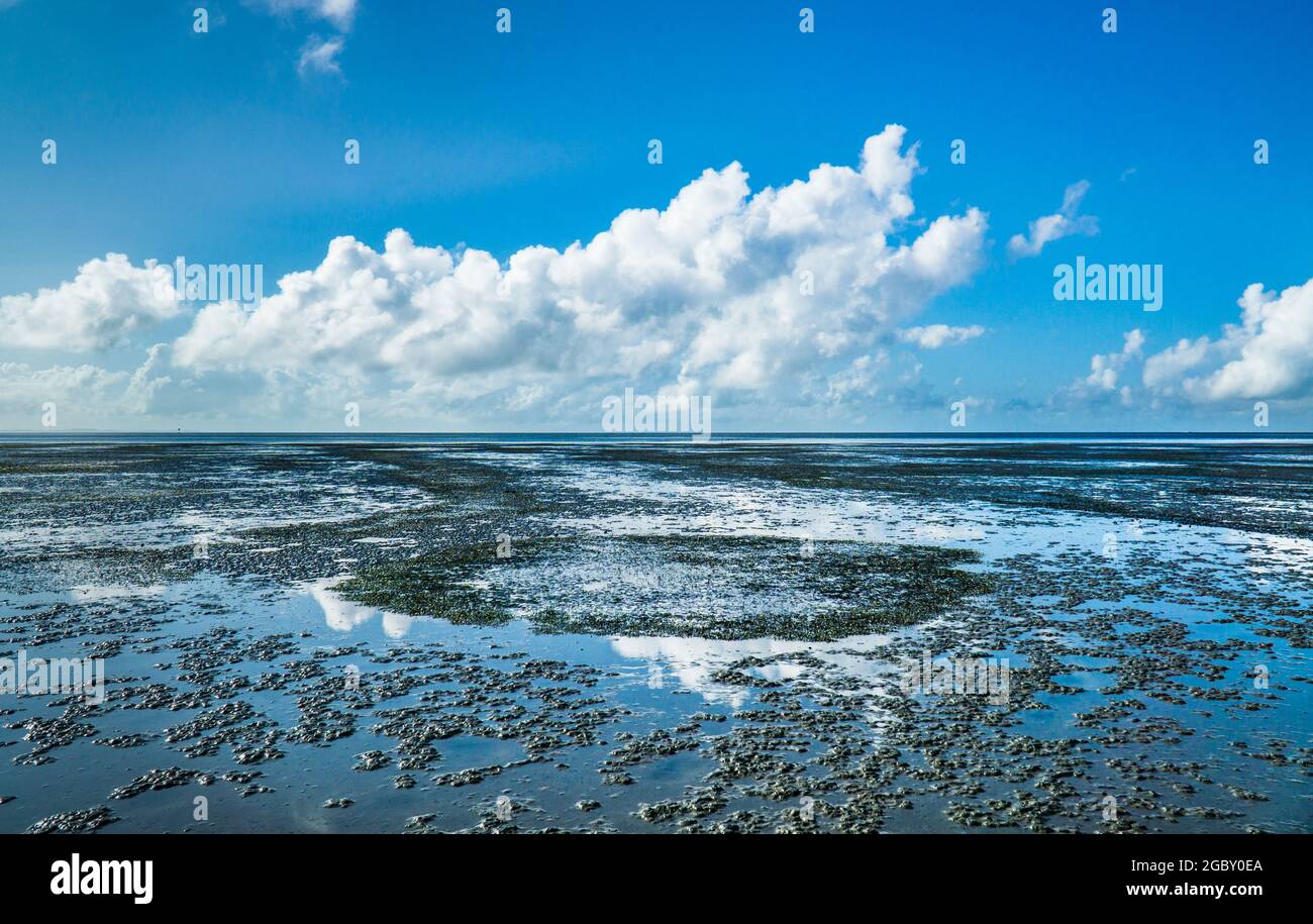 Les vasières intertidales sur la rive de la baie de Moreton à Godwin Beach à marée basse, région de Moreton Bay, sud-est du Queensland, Australie Banque D'Images