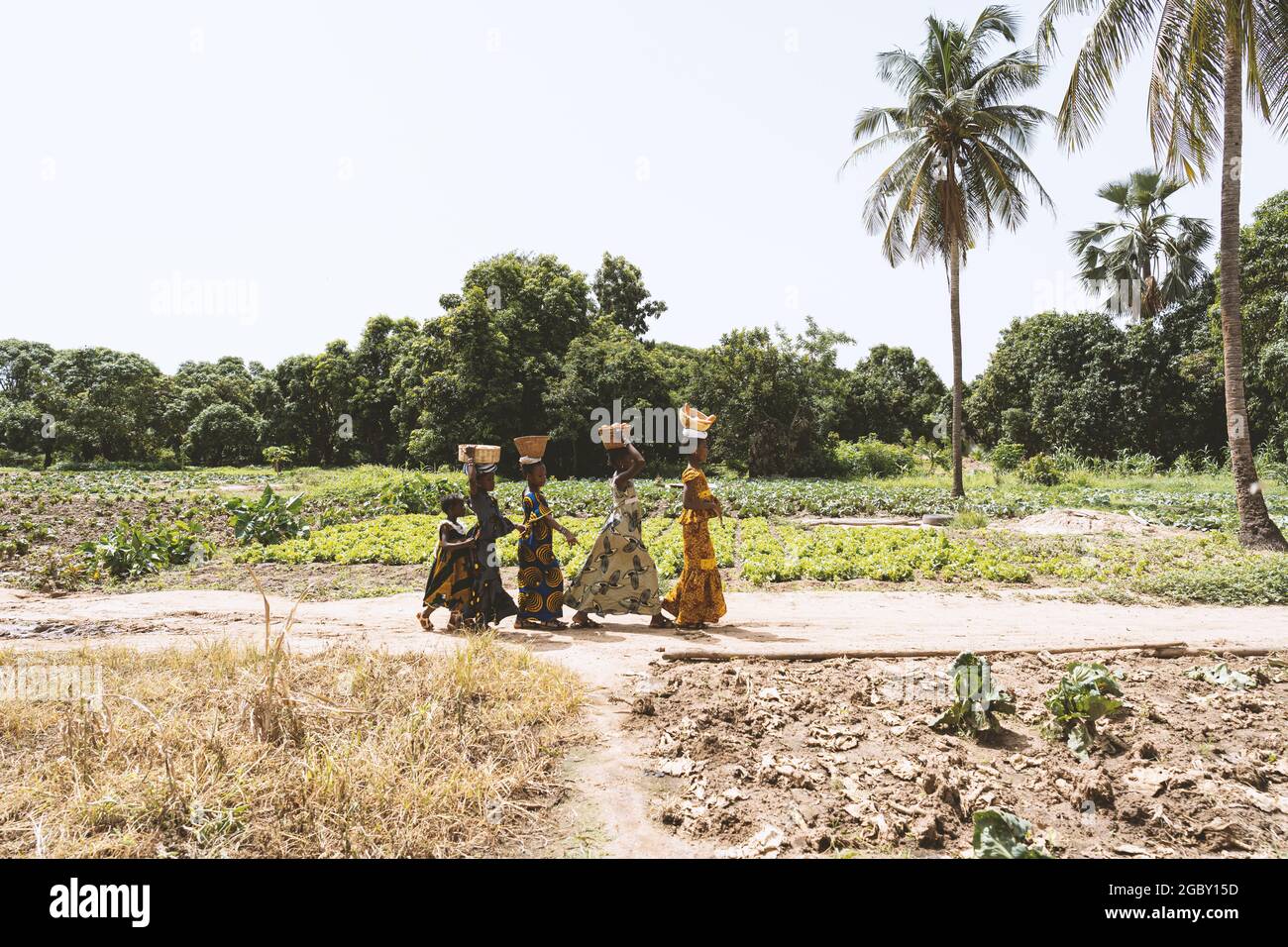 Dans cette image, cinq filles africaines avec des paniers sur leur tête, sont sur leur chemin vers le marché local de village pour vendre leurs produits Banque D'Images