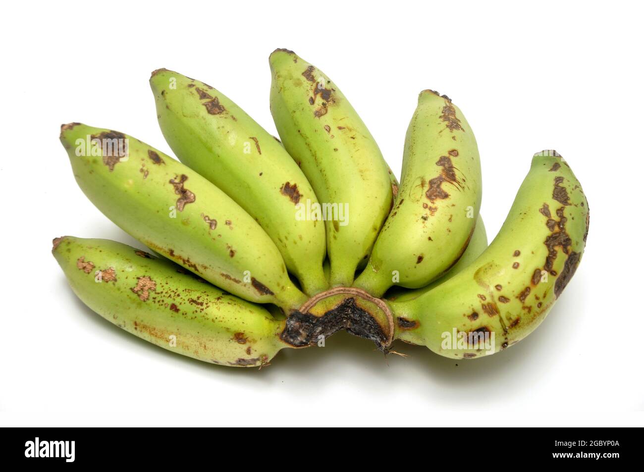 Les bananes sont à moitié mûres sur fond blanc vert jaunâtre Banque D'Images