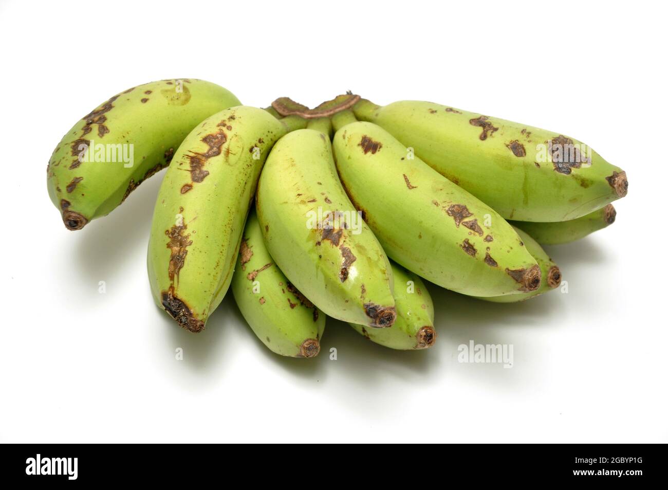 Les bananes sont à moitié mûres sur fond blanc vert jaunâtre Banque D'Images