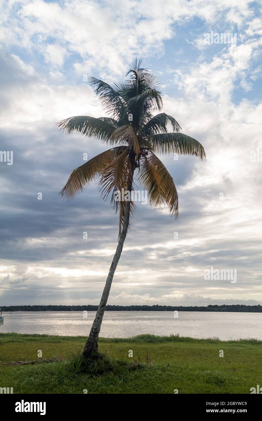 St Laurent du Maroni, Guyane française. Rivière Maroni (Marowijne) entre le Suriname et la Guyane française. Banque D'Images