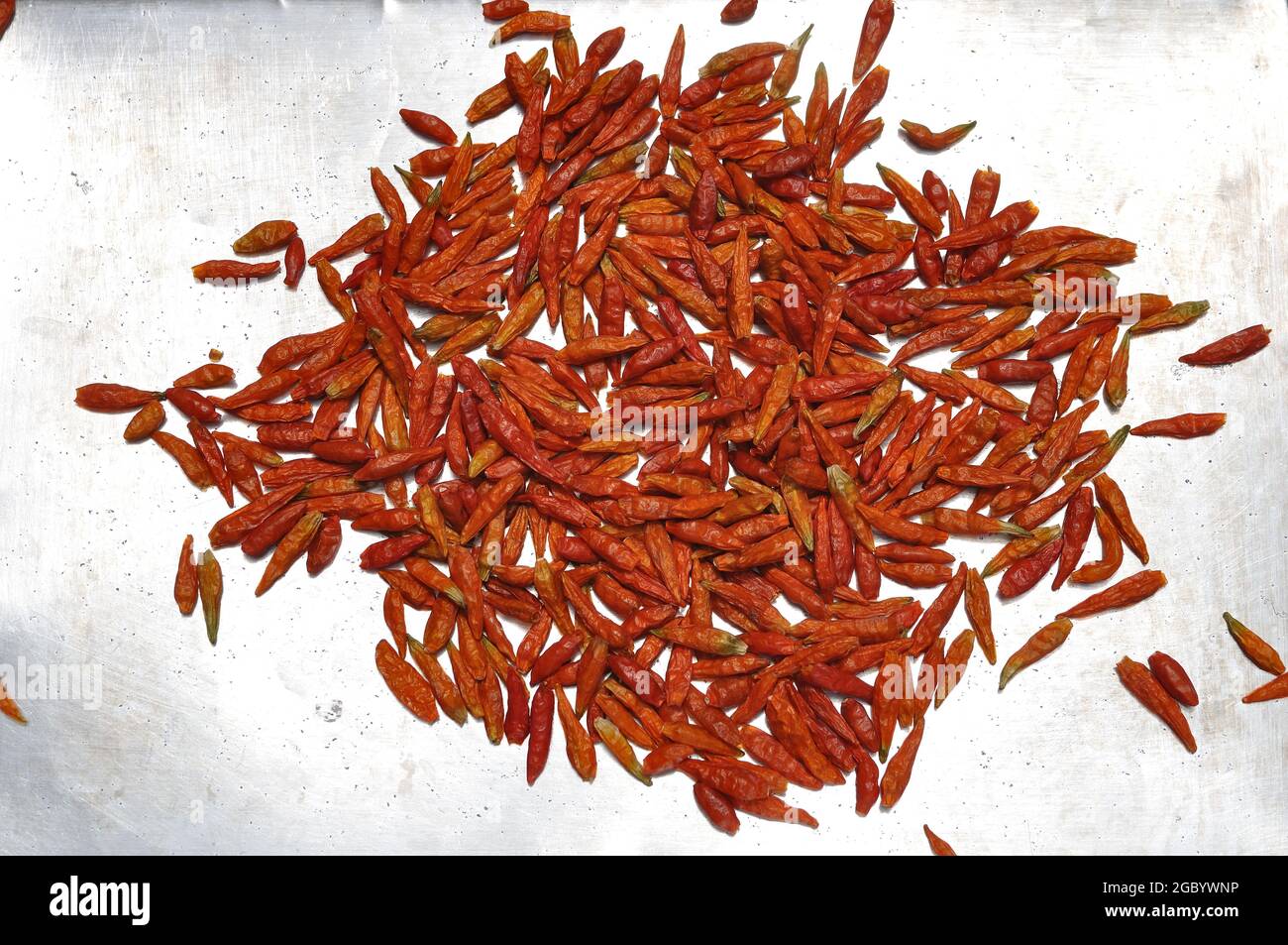 Piment en forme d'oiseau séché, épice Banque D'Images