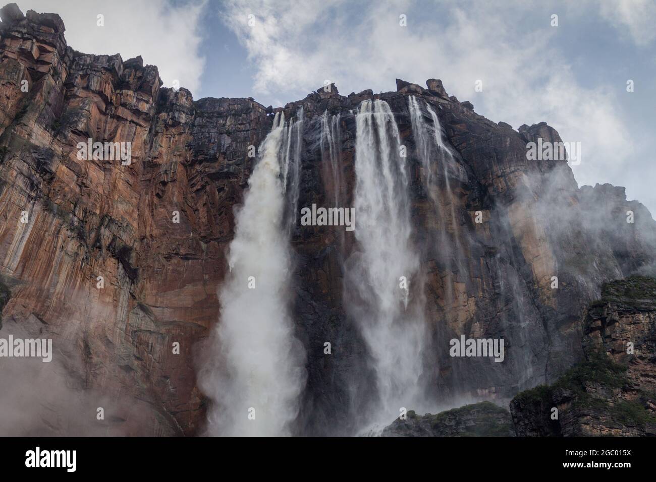 Angel Falls (Salto Angel), la plus haute chute d'eau du monde (978 m) pendant la période des pluies, Venezuela Banque D'Images