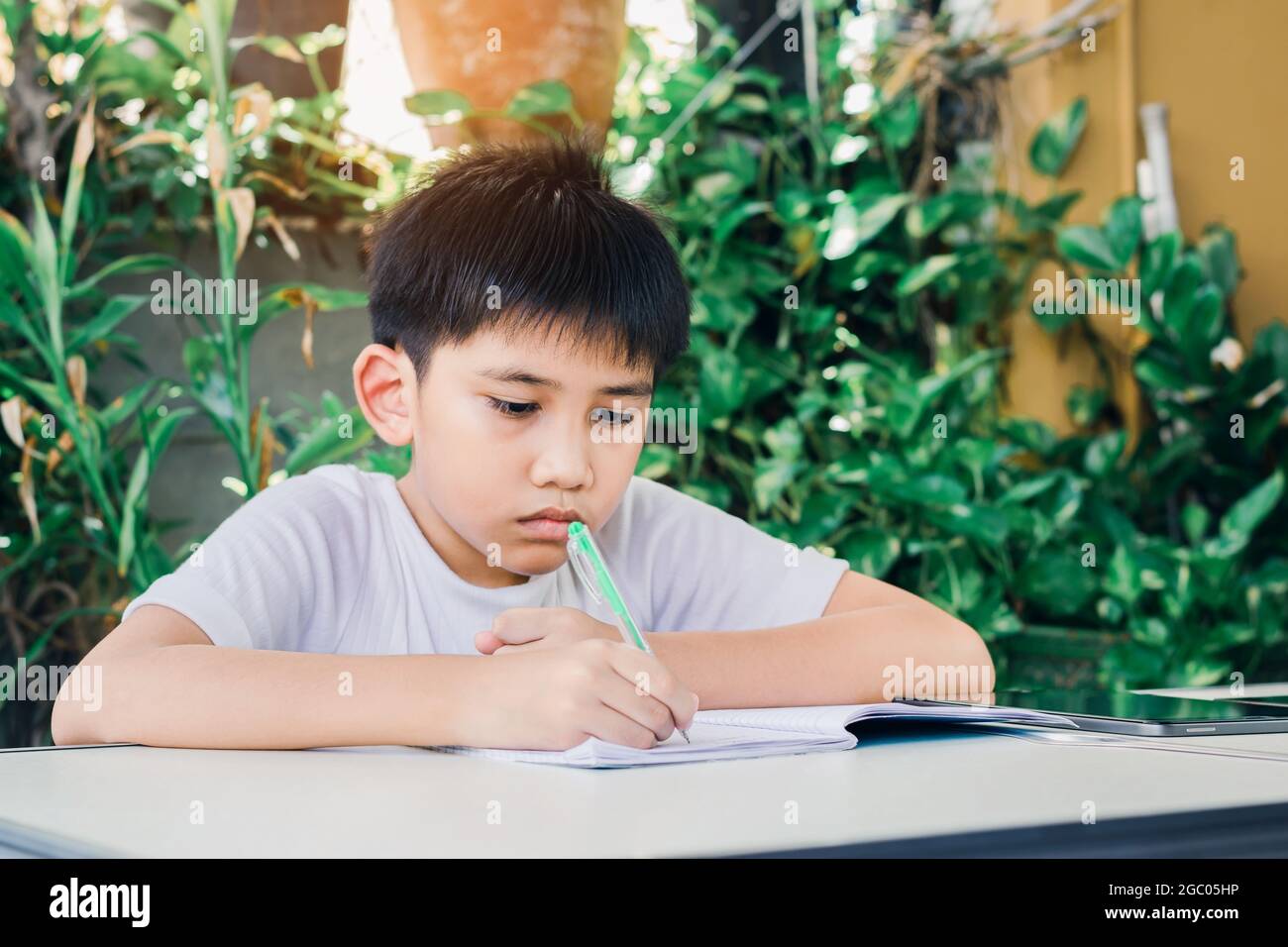 Un garçon asiatique fait ses devoirs à l'aide d'un stylo pour écrire sur un livre. Banque D'Images Un garçon asiatique fait ses devoirs à l'aide d'un stylo pour écrire sur un livre. Banque D'Images