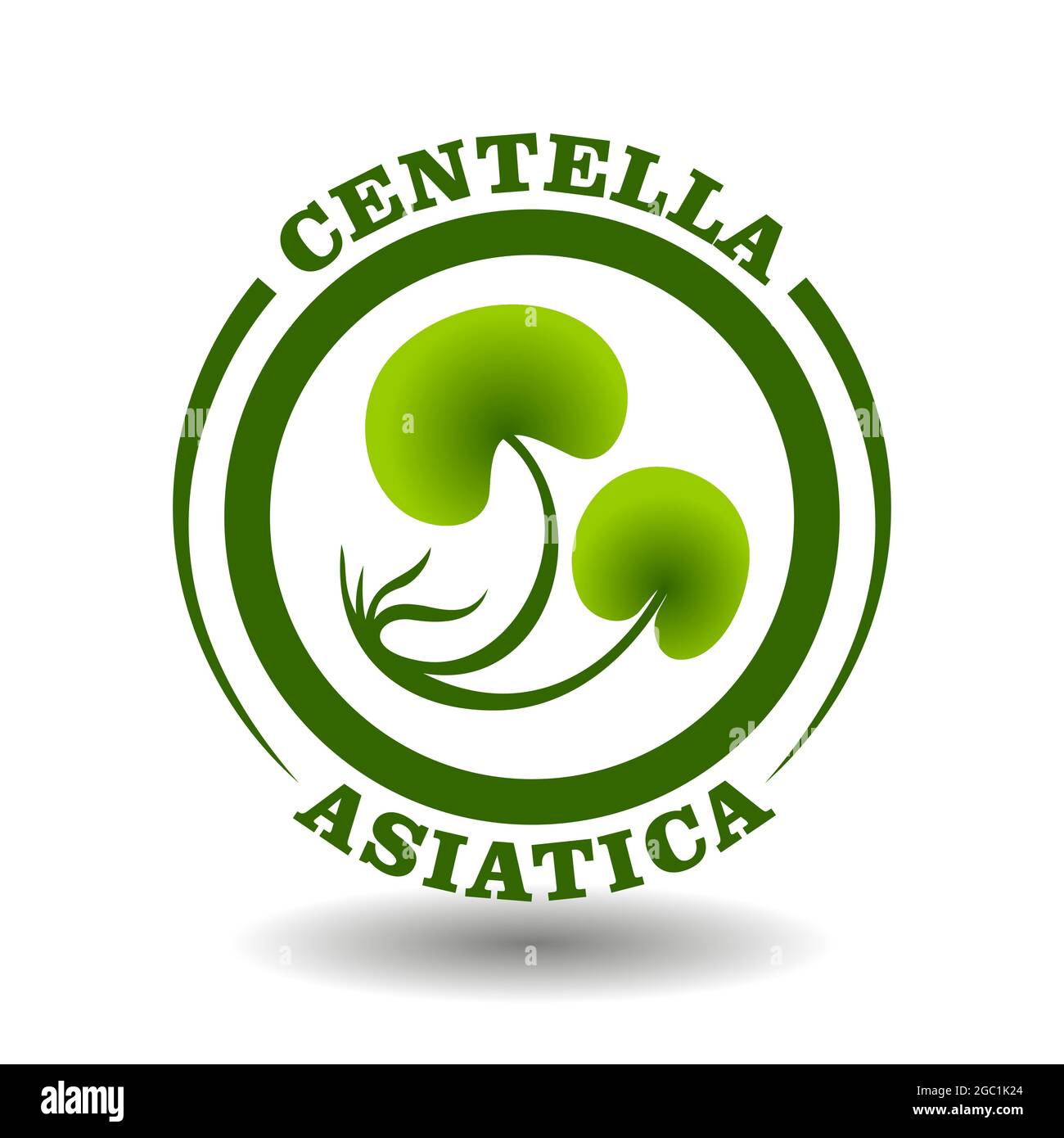 Logo Vector Circle Centella Asiatica avec symbole de feuilles vertes dans un pictogramme rond pour le signe des cosmétiques biologiques, étiquettes d'étiquetage des aliments naturels et aurveda HE Illustration de Vecteur