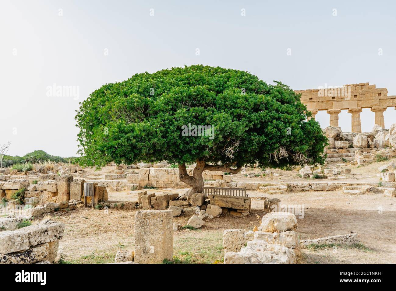 Le Temple de Hera à Selinunte Archaeological Park,Sicile,Italie.ruines de bâtiments résidentiels et commerciaux dans l'ancienne ville grecque de Selinus. Banque D'Images