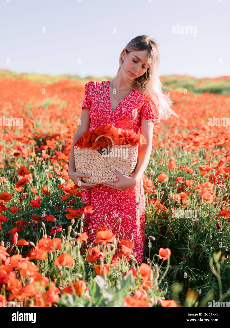 Femme caucasienne attirante dans un champ de pavot au coucher du soleil. Concept de liberté avec des couleurs douces. Femme en robe rouge et sac à main en osier avec fleurs Banque D'Images