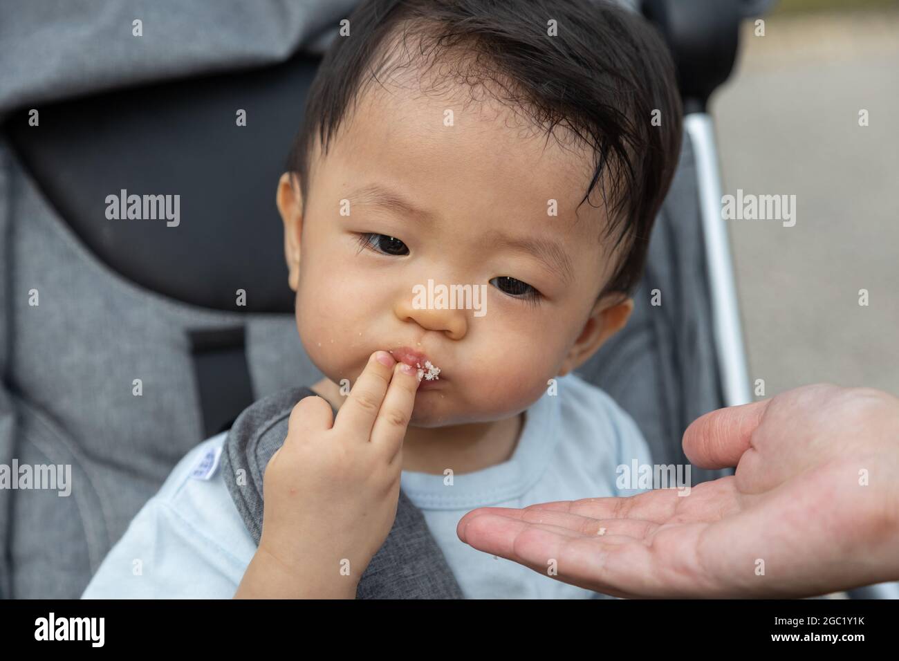 Gros Plan Portrait Image De Bebe Chinois Asiatique Mignon Et Heureux Assis Sur Une Poussette Au Parc Le Soir Photo Stock Alamy