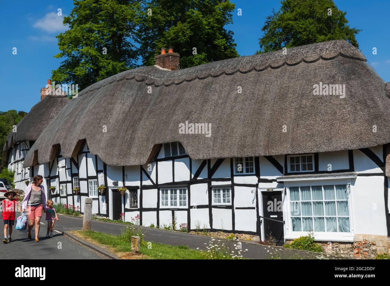 Angleterre, Hampshire, Test Valley, Wherwell, Tatched Cottages au printemps Banque D'Images