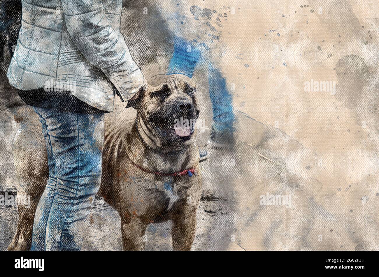 Peinture numérique aquarelle d'une femme avec un chien de CA de beau ou un chien Majorcan Mastiff. Une femme fragile et un animal de compagnie énorme et robuste avec une grande tête et un c large Banque D'Images