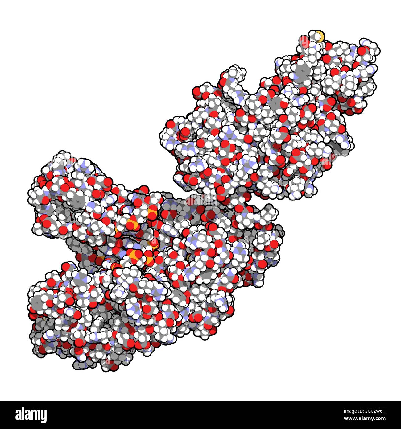 Taq polymerase Banque de photographies et d’images à haute résolution ...