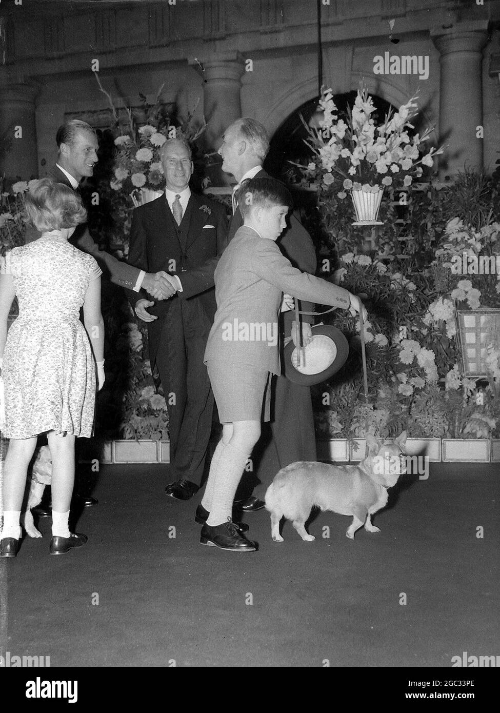 Le Prince Charles avance pour guider le corgi royal à la gare d'Euston, Londres, alors que la famille royale voyage en train de nuit à Balmoral pour des vacances. 6 août 1959 Banque D'Images