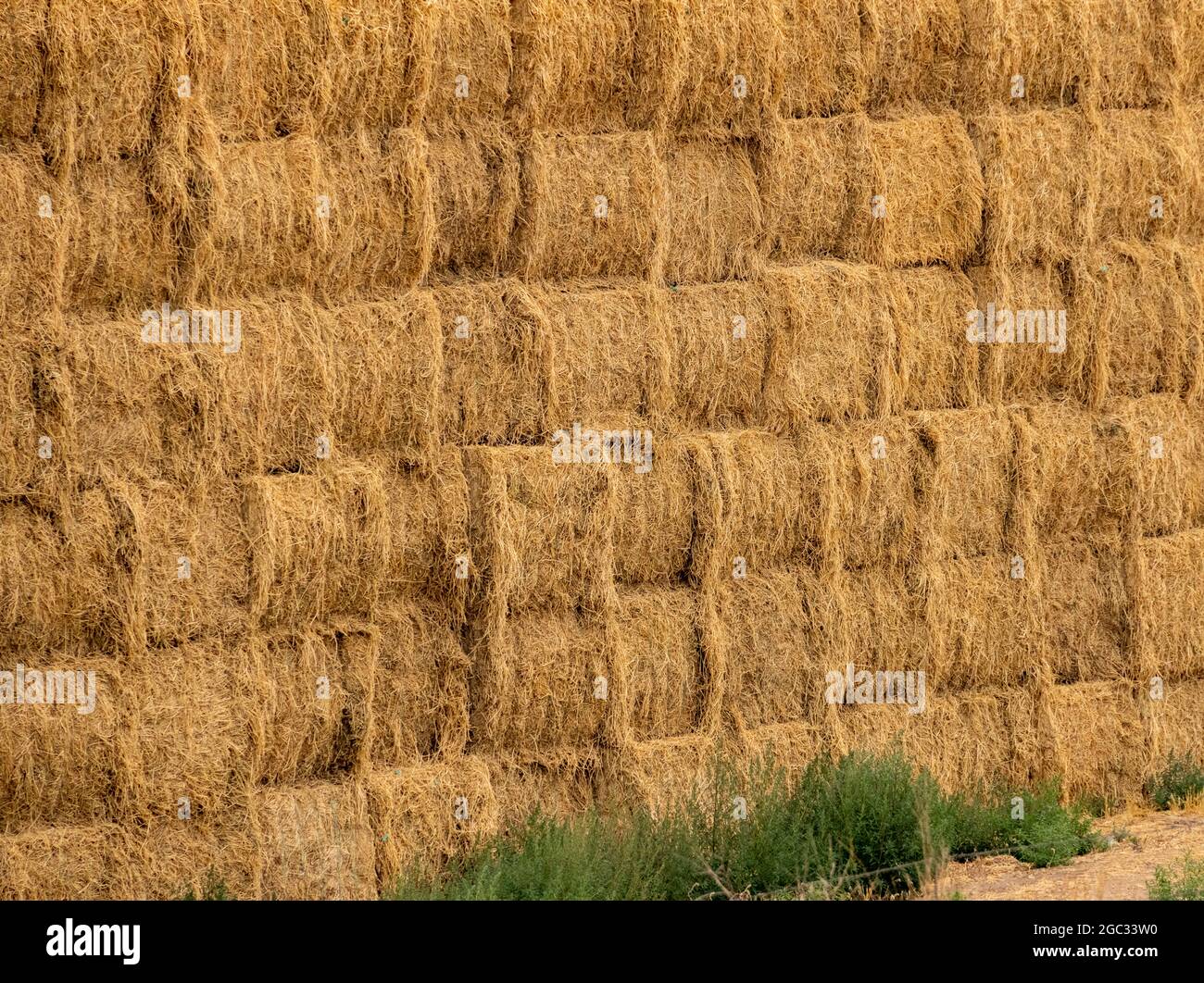 Balles de foin de luzerne empilées pour mourir à la ferme, région de Palouse, État de Washington, États-Unis Banque D'Images