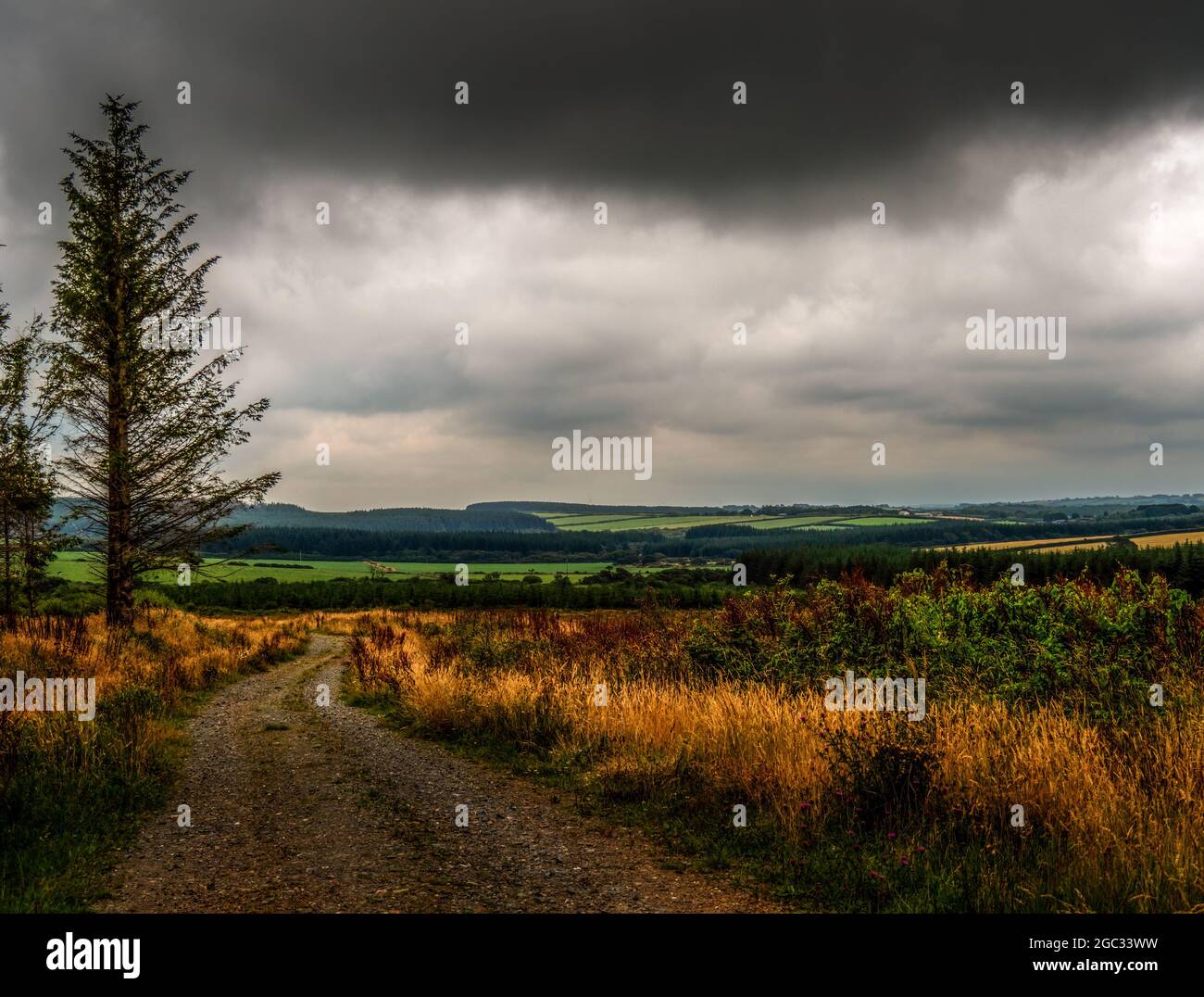 Paysage orageux avec ciel sombre et route sinueuse, voie. Banque D'Images