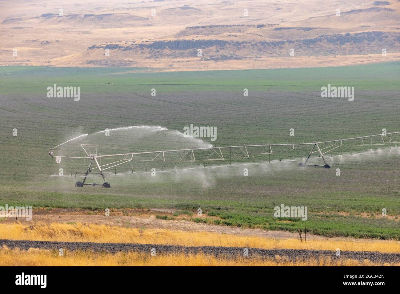 Irrigation à pivot central avec système de gicleurs de champ, région de Palouse, État de Washington, États-Unis Banque D'Images
