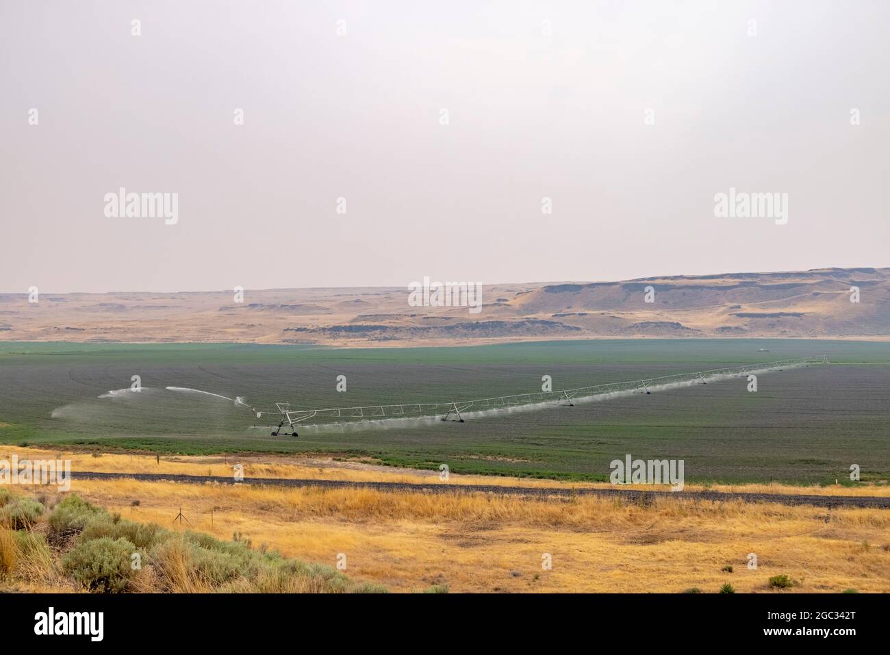 Irrigation à pivot central avec système de gicleurs de champ, région de Palouse, État de Washington, États-Unis Banque D'Images