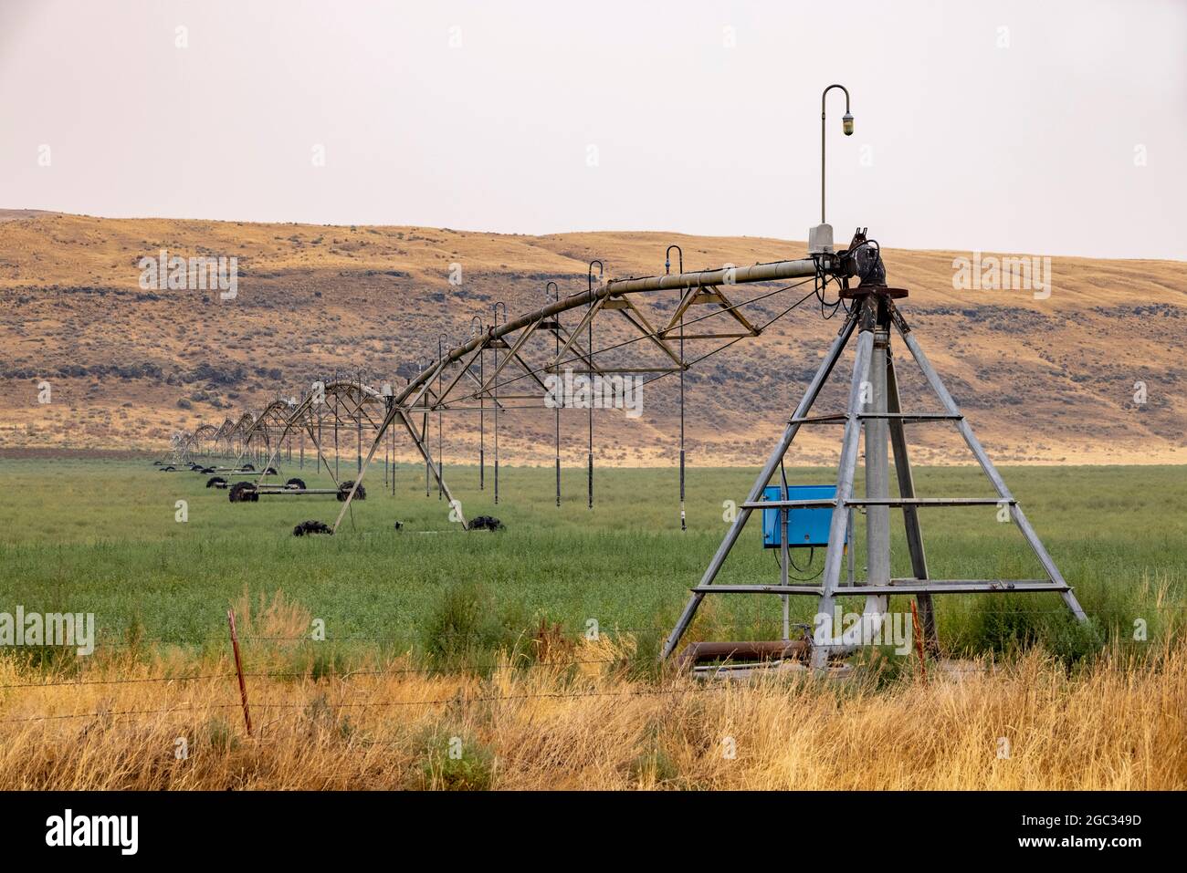 Irrigation à pivot central avec système de gicleurs de champ, région de Palouse, État de Washington, États-Unis Banque D'Images