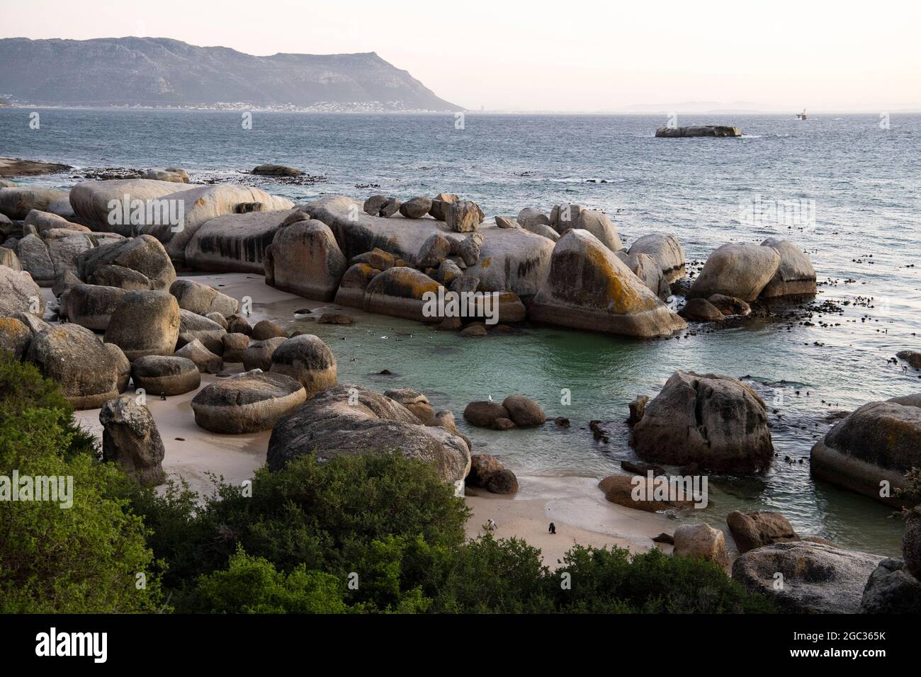 La plage de Boulders, péninsule du Cap, Afrique du Sud Banque D'Images